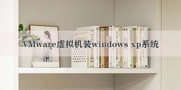 VMware虚拟机装windows xp系统