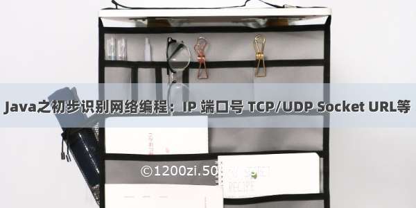 Java之初步识别网络编程：IP 端口号 TCP/UDP Socket URL等