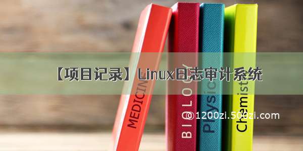 【项目记录】Linux日志审计系统