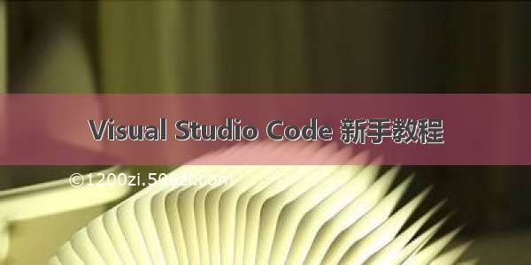 Visual Studio Code 新手教程