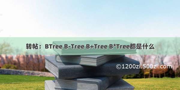 转帖：BTree B-Tree B+Tree B*Tree都是什么