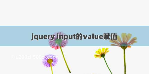 jquery input的value赋值