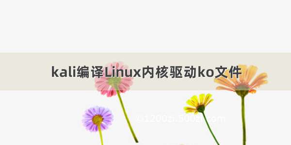 kali编译Linux内核驱动ko文件