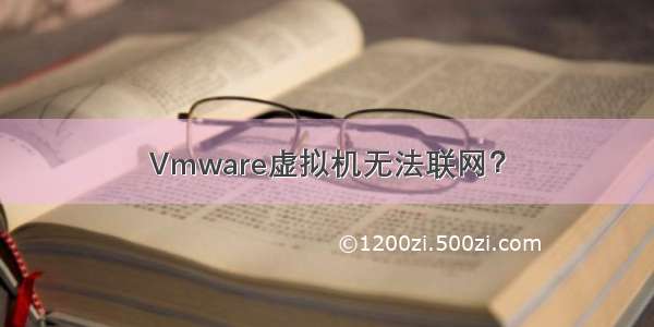 Vmware虚拟机无法联网？