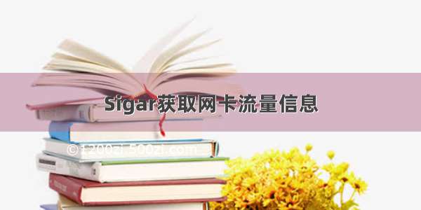 Sigar获取网卡流量信息