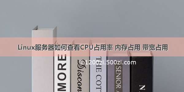 Linux服务器如何查看CPU占用率 内存占用 带宽占用