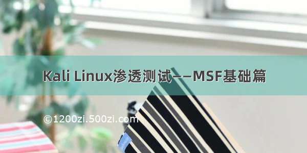 Kali Linux渗透测试——MSF基础篇