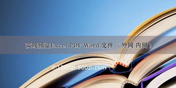 实现预览Excel PDF Word 文件 （外网 内网）