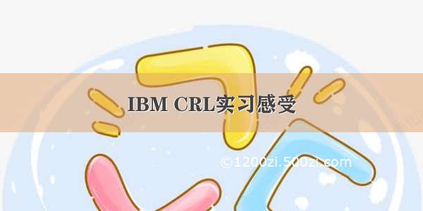 IBM CRL实习感受