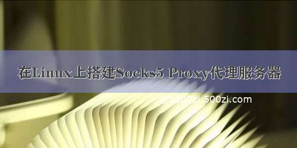在Linux上搭建Socks5 Proxy代理服务器