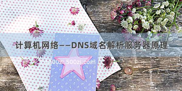 计算机网络——DNS域名解析服务器原理