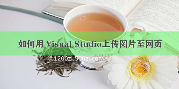 如何用 Visual Studio上传图片至网页