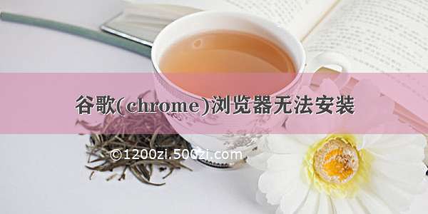 谷歌(chrome)浏览器无法安装