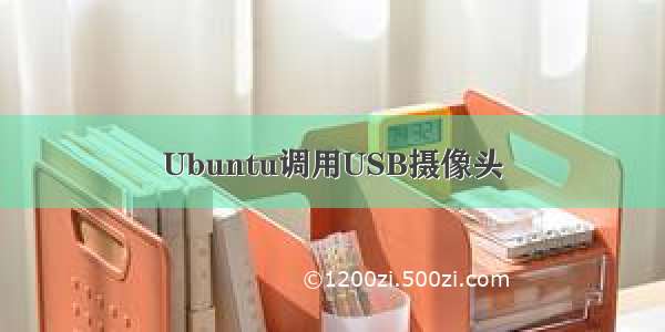 Ubuntu调用USB摄像头