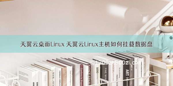 天翼云桌面Linux 天翼云Linux主机如何挂载数据盘