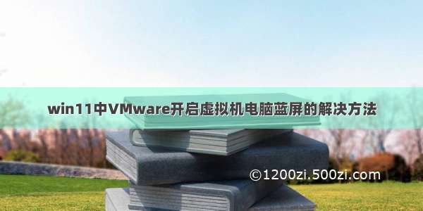 win11中VMware开启虚拟机电脑蓝屏的解决方法