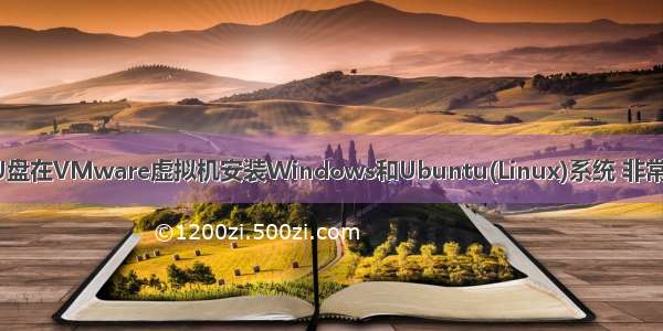 使用U盘在VMware虚拟机安装Windows和Ubuntu(Linux)系统 非常详细！