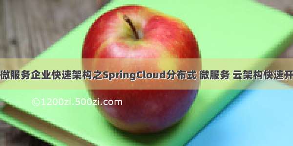 分布式微服务企业快速架构之SpringCloud分布式 微服务 云架构快速开发平台