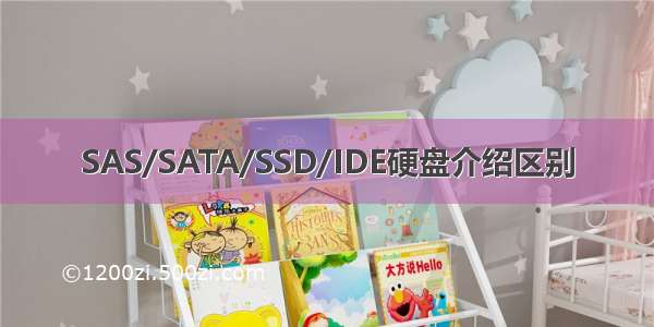 SAS/SATA/SSD/IDE硬盘介绍区别