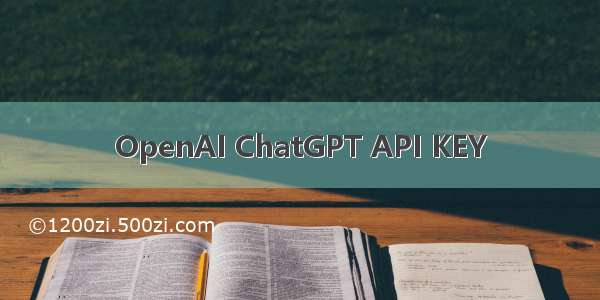 OpenAI ChatGPT API KEY