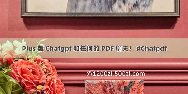 Plus 版 Chatgpt 和任何的 PDF 聊天！ #Chatpdf