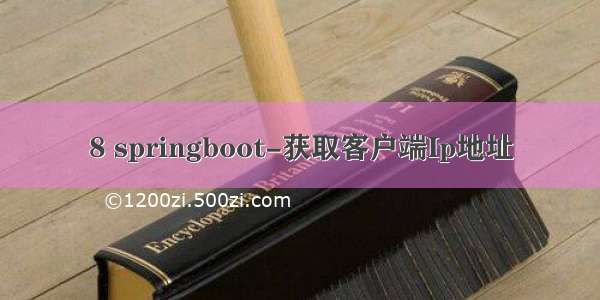 8 springboot-获取客户端Ip地址