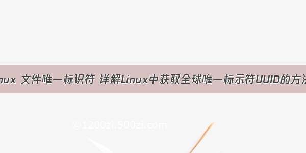 linux 文件唯一标识符 详解Linux中获取全球唯一标示符UUID的方法