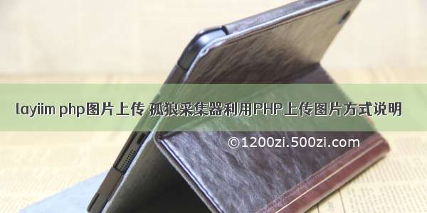 layiim php图片上传 孤狼采集器利用PHP上传图片方式说明