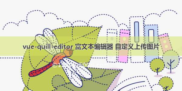 vue-quill-editor 富文本编辑器 自定义上传图片