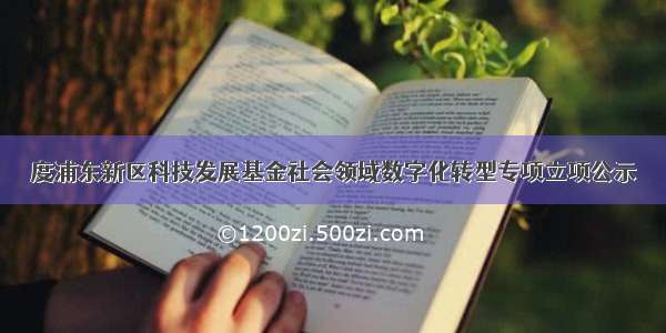 度浦东新区科技发展基金社会领域数字化转型专项立项公示