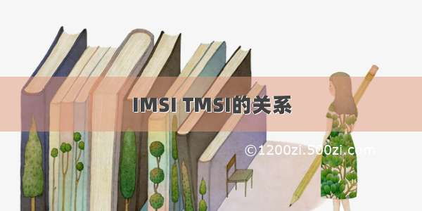 IMSI TMSI的关系