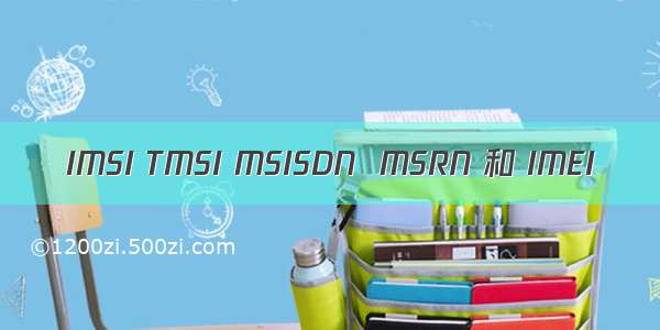IMSI TMSI MSISDN  MSRN 和 IMEI