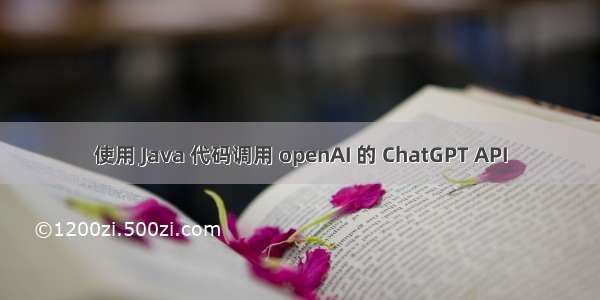 使用 Java 代码调用 openAI 的 ChatGPT API