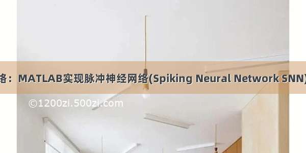 脉冲神经网络：MATLAB实现脉冲神经网络(Spiking Neural Network SNN) 用于图像分