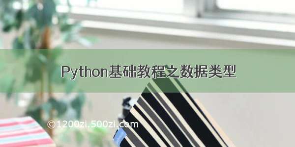 Python基础教程之数据类型