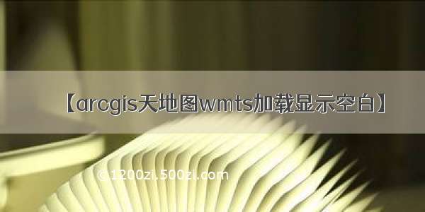 【arcgis天地图wmts加载显示空白】