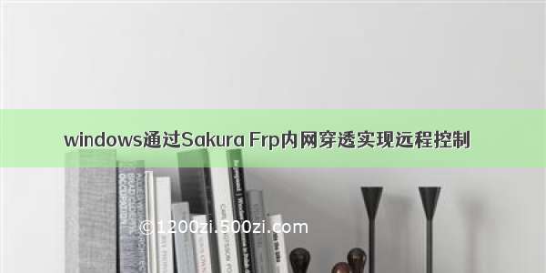 windows通过Sakura Frp内网穿透实现远程控制