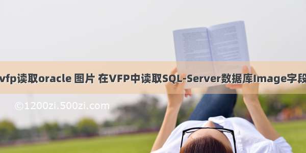 vfp读取oracle 图片 在VFP中读取SQL-Server数据库Image字段