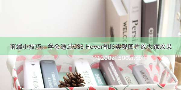 前端小技巧：学会通过CSS Hover和JS实现图片放大镜效果