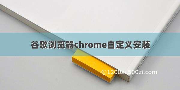 谷歌浏览器chrome自定义安装