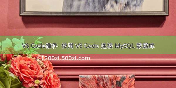 VS Code插件  使用 VS Code 连接 MySQL 数据库