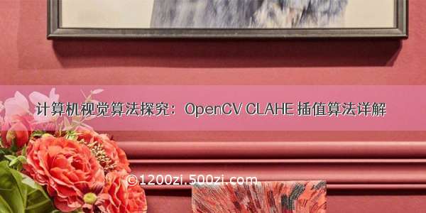 计算机视觉算法探究：OpenCV CLAHE 插值算法详解