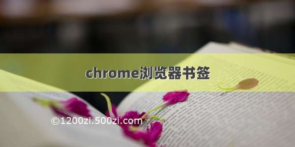 chrome浏览器书签