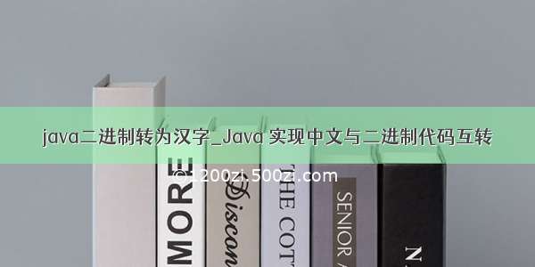 java二进制转为汉字_Java 实现中文与二进制代码互转