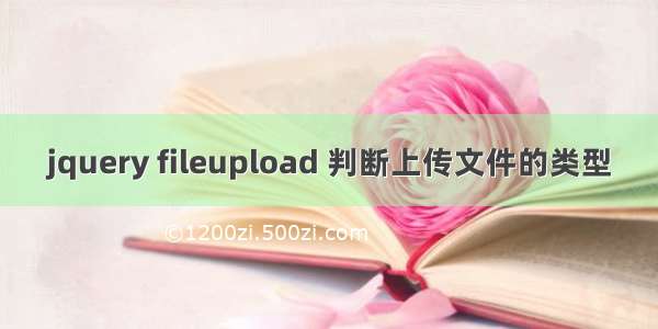 jquery fileupload 判断上传文件的类型