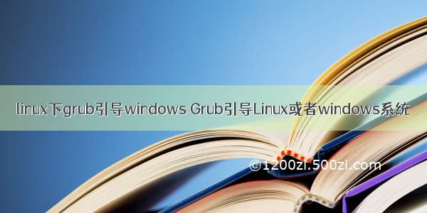 linux下grub引导windows Grub引导Linux或者windows系统