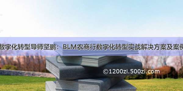 数字化转型导师坚鹏：BLM农商行数字化转型实战解决方案及案例