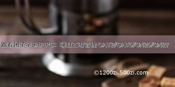 跟着团子学SAP PS：项目工时管理 CAT2/CAT5/CN25/CN27