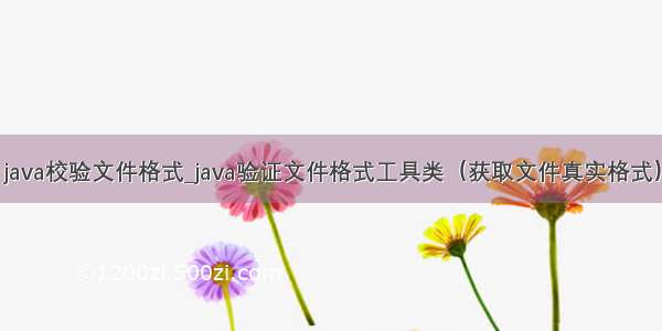 java校验文件格式_java验证文件格式工具类（获取文件真实格式）