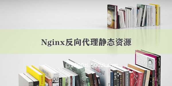 Nginx反向代理静态资源